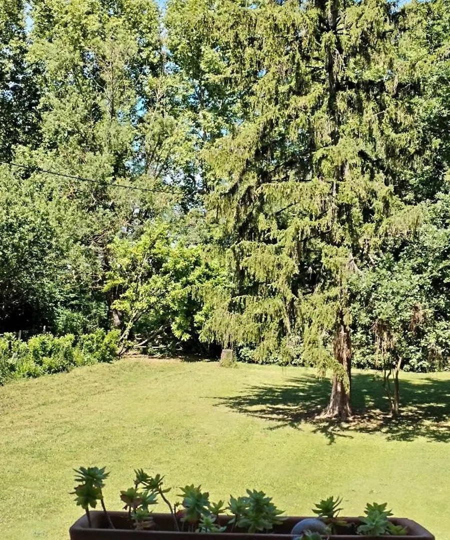 La Casanat Bed & Breakfast Montgiscard 0*,  France