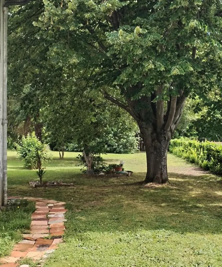 La Casanat Bed & Breakfast Montgiscard 0*,